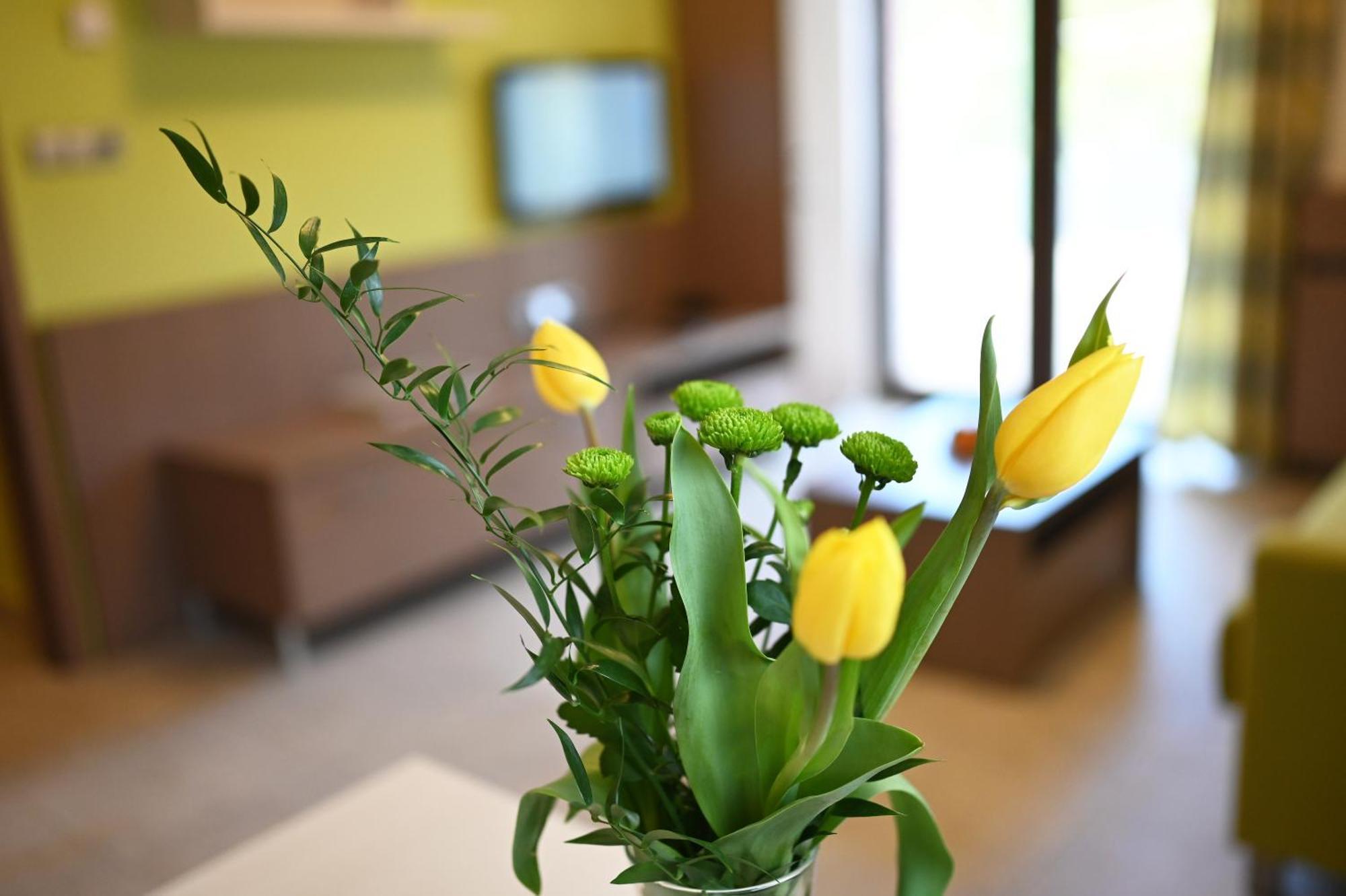 Hotel Jirinka Dolní Morava Екстериор снимка