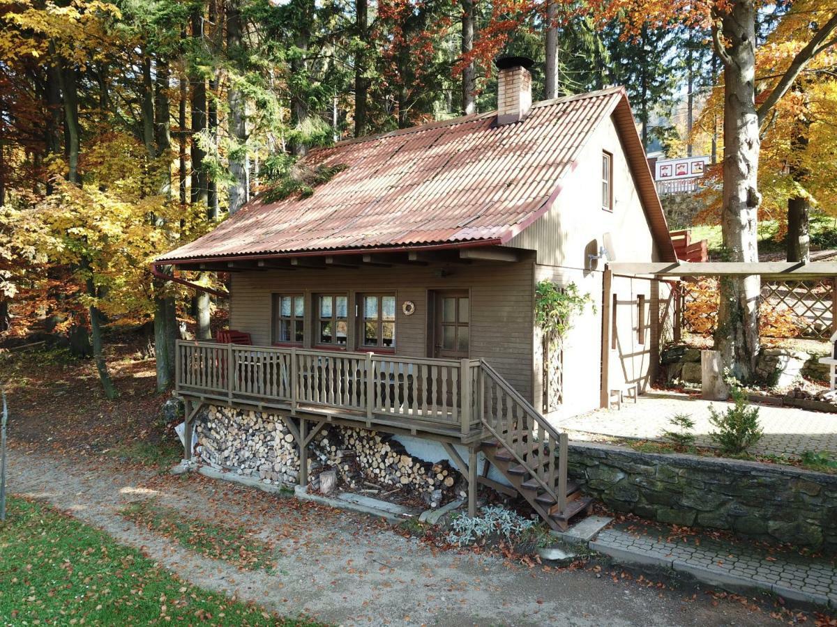 Hotel Jirinka Dolní Morava Екстериор снимка